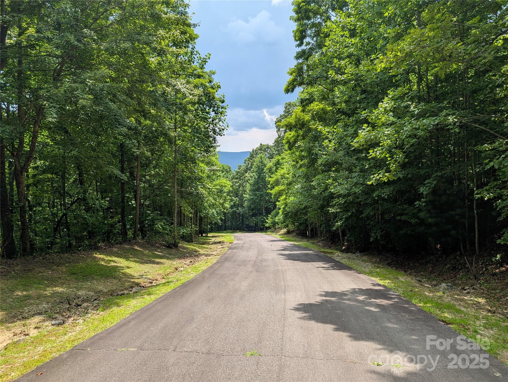 115 Ivywood Lane Laurel Park NC 28739