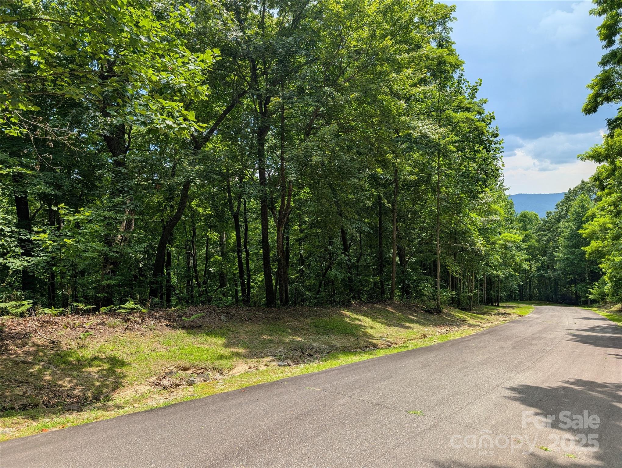 115 Ivywood Lane Laurel Park NC 28739