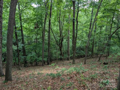 115 Ivywood Lane Laurel Park NC 28739