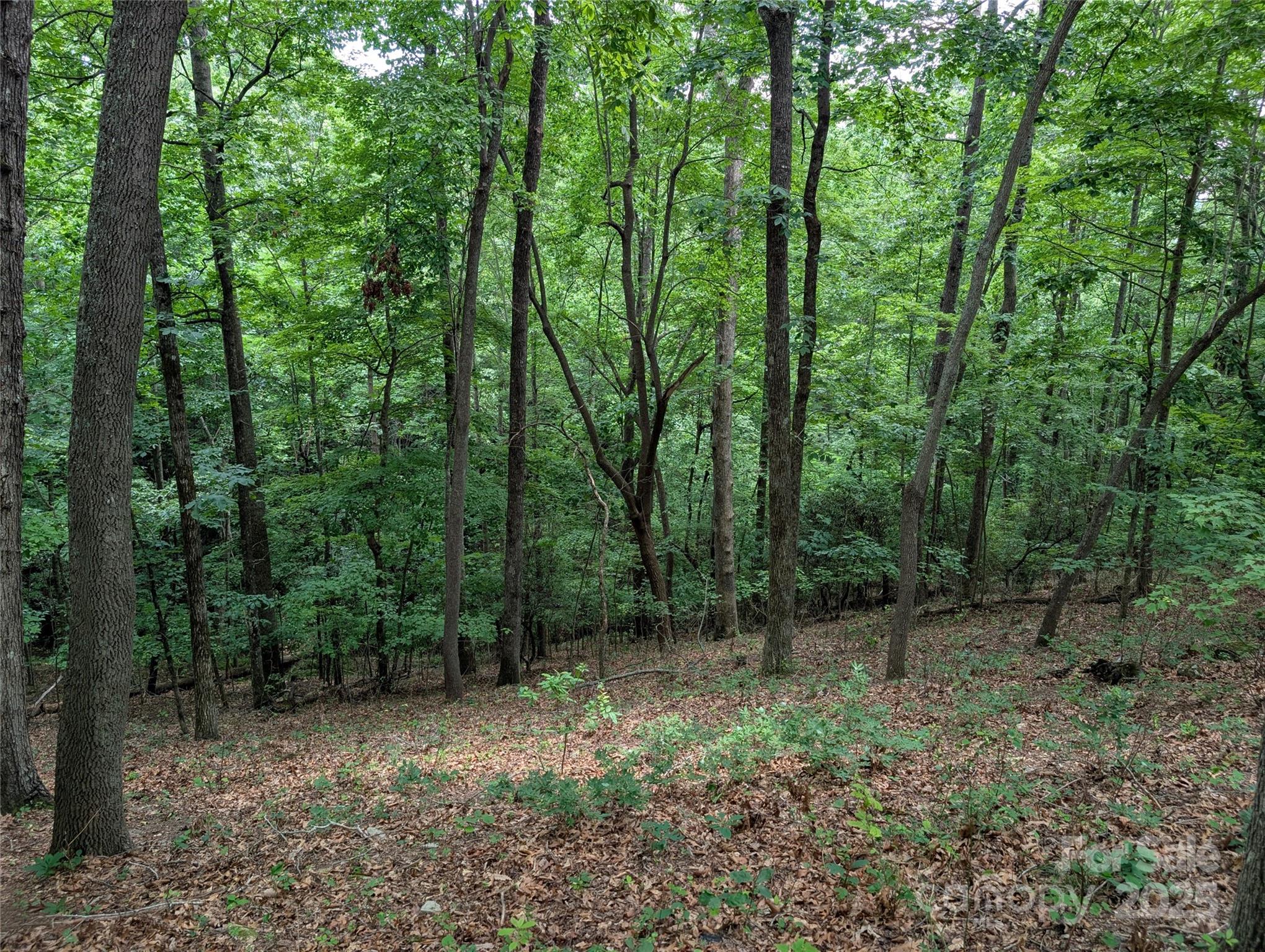115 Ivywood Lane Laurel Park NC 28739