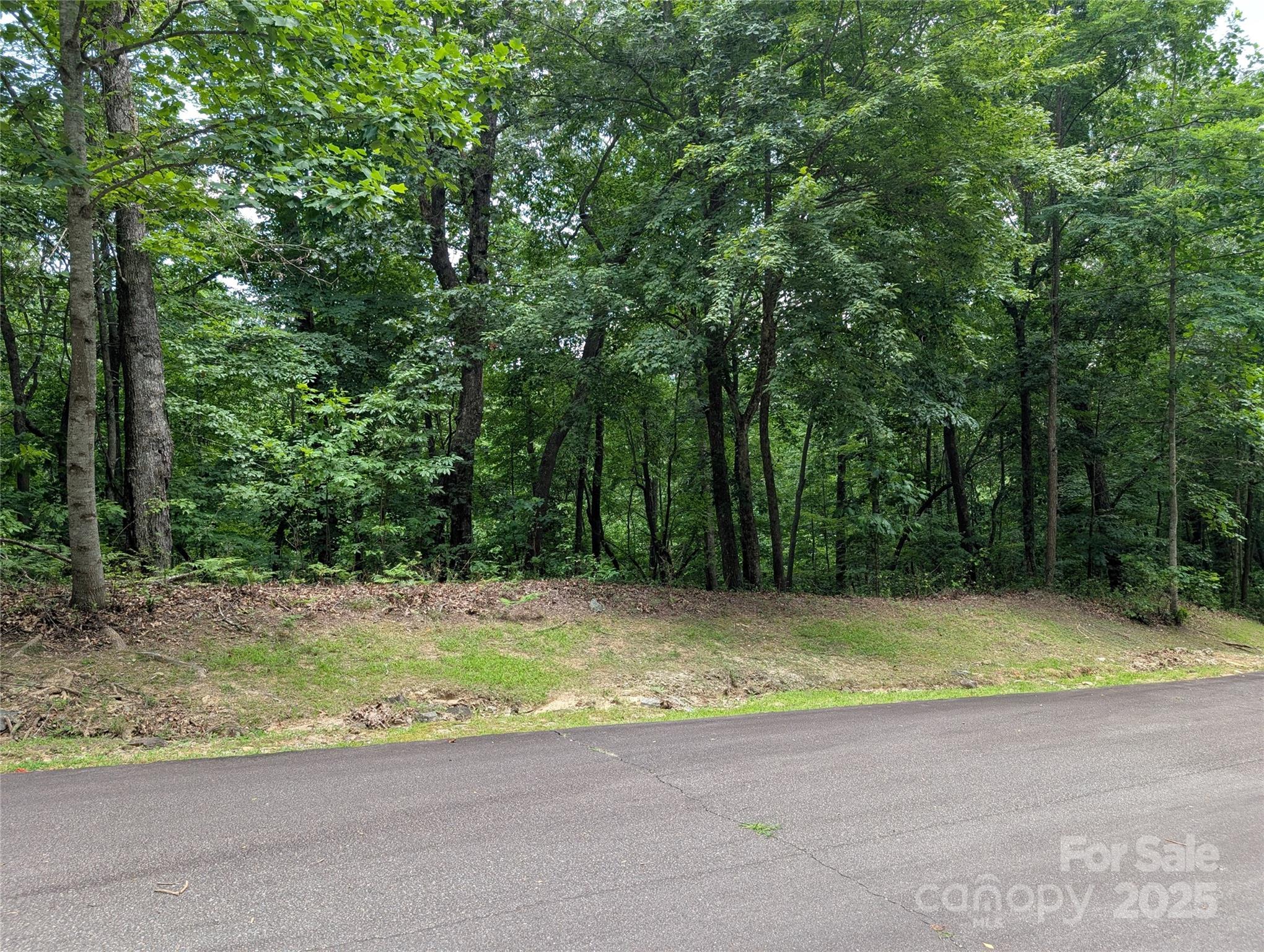 115 Ivywood Lane Laurel Park NC 28739