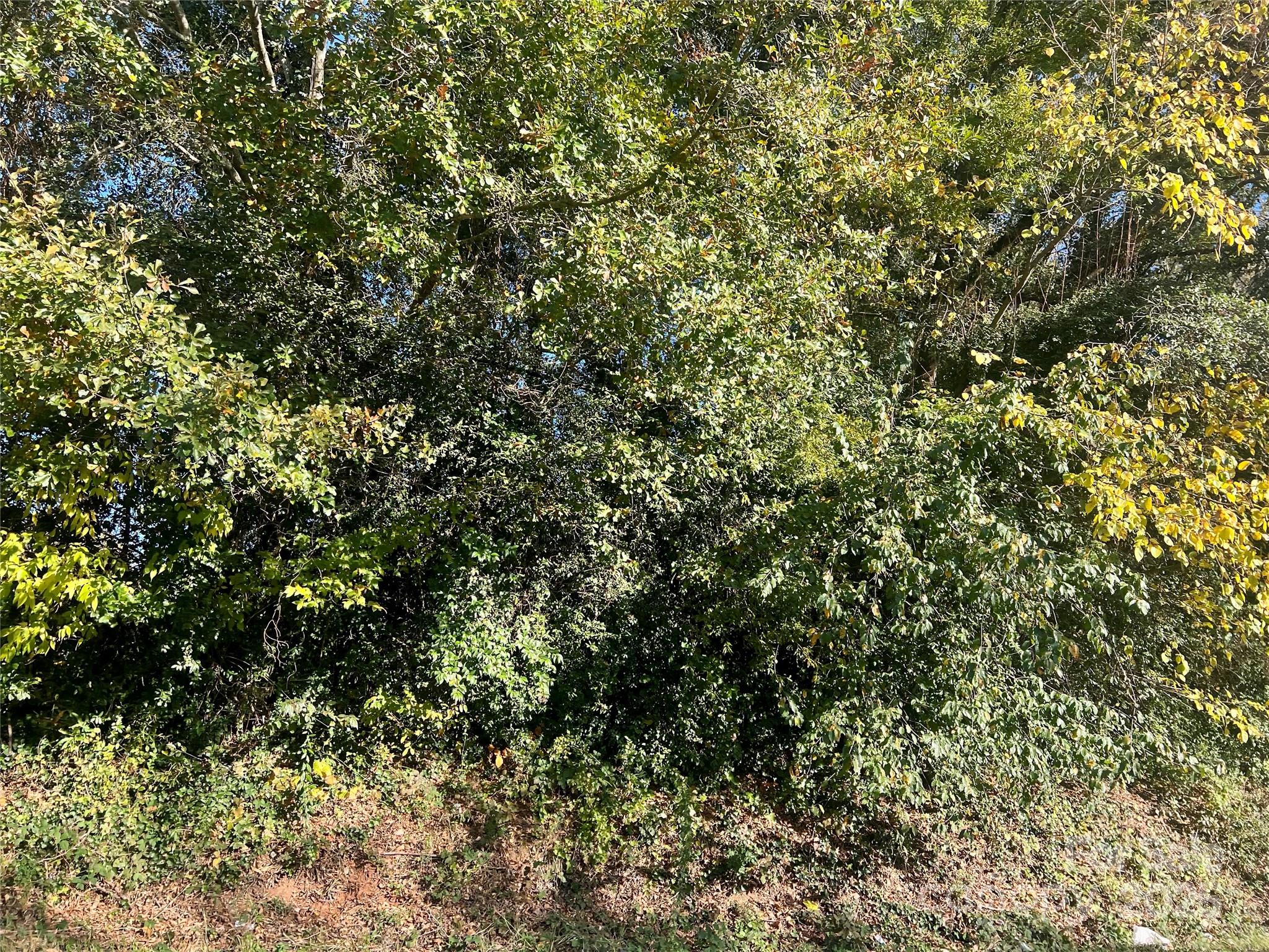 5.45 Acres Memorial Park Road Lancaster SC 29720