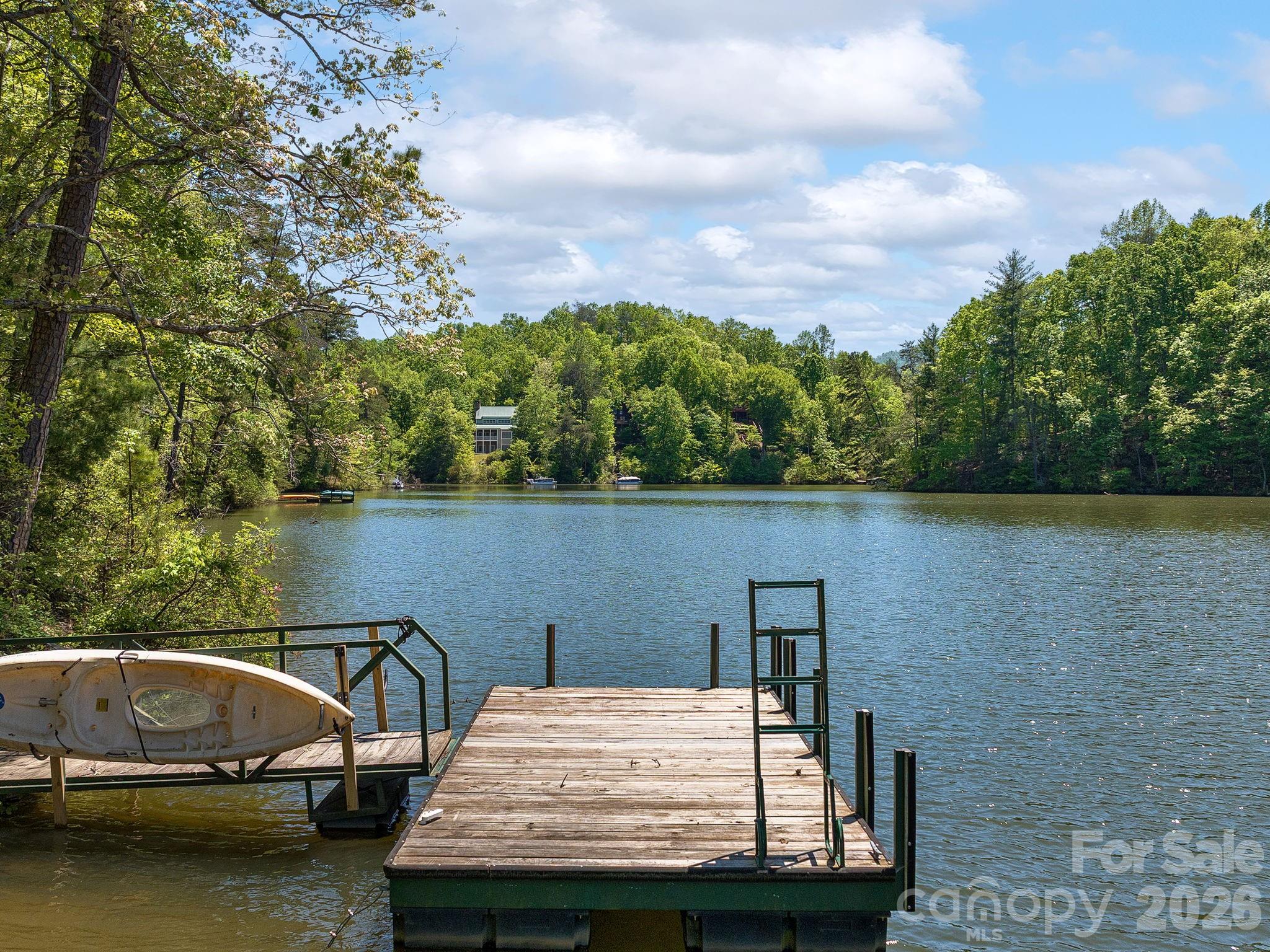 14 South Cove Road Mill Spring NC 28756