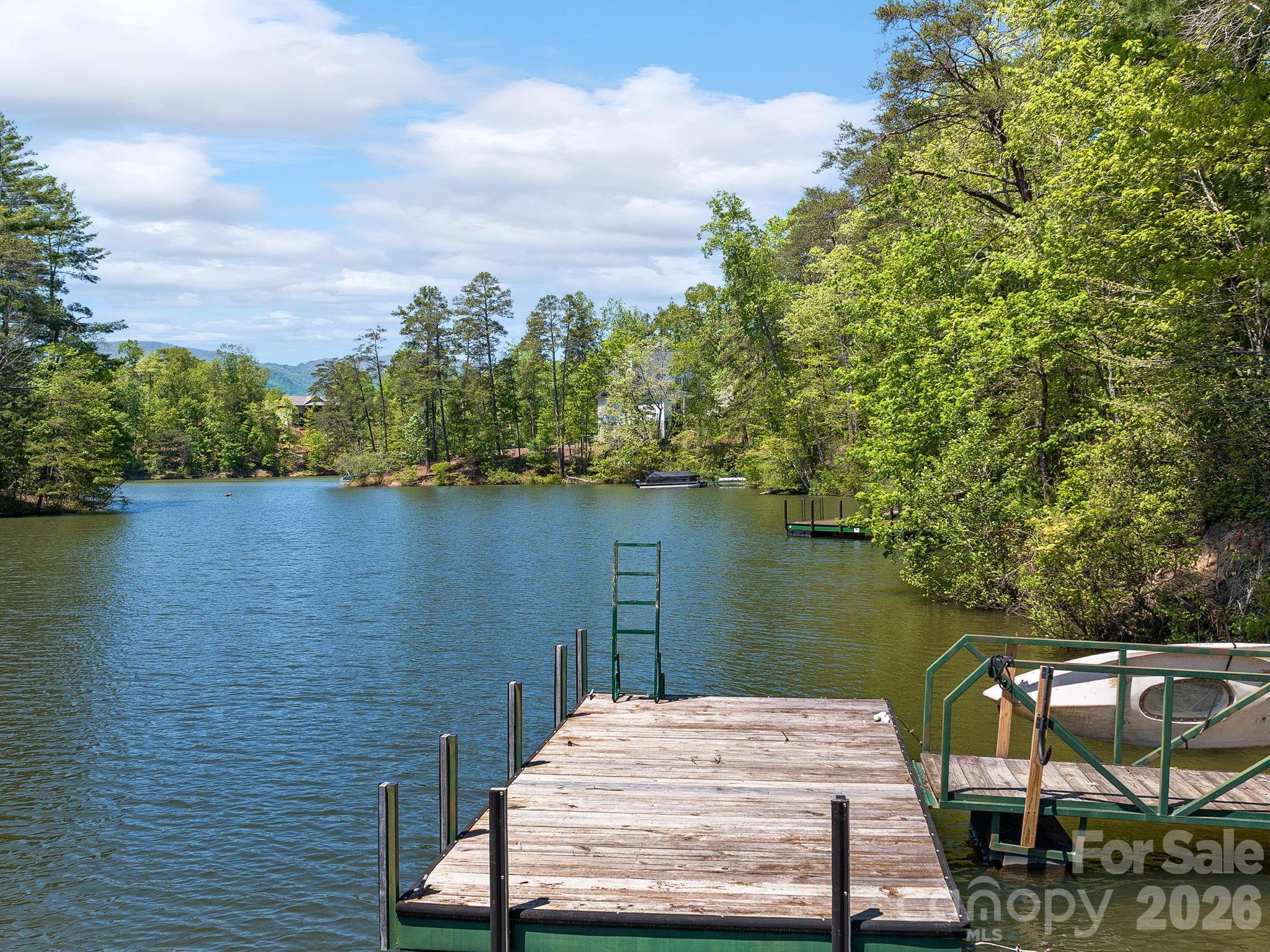 14 South Cove Road Mill Spring NC 28756