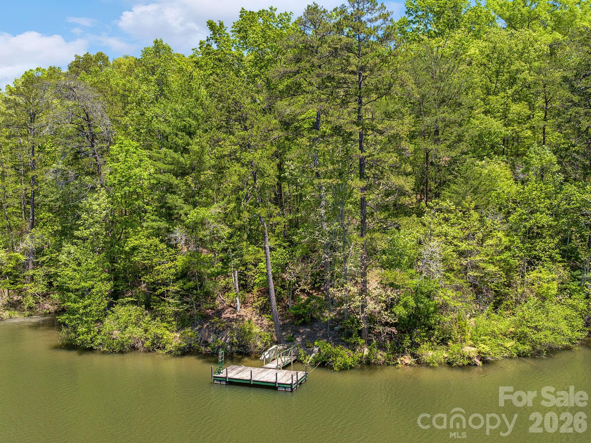 14 South Cove Road Mill Spring NC 28756