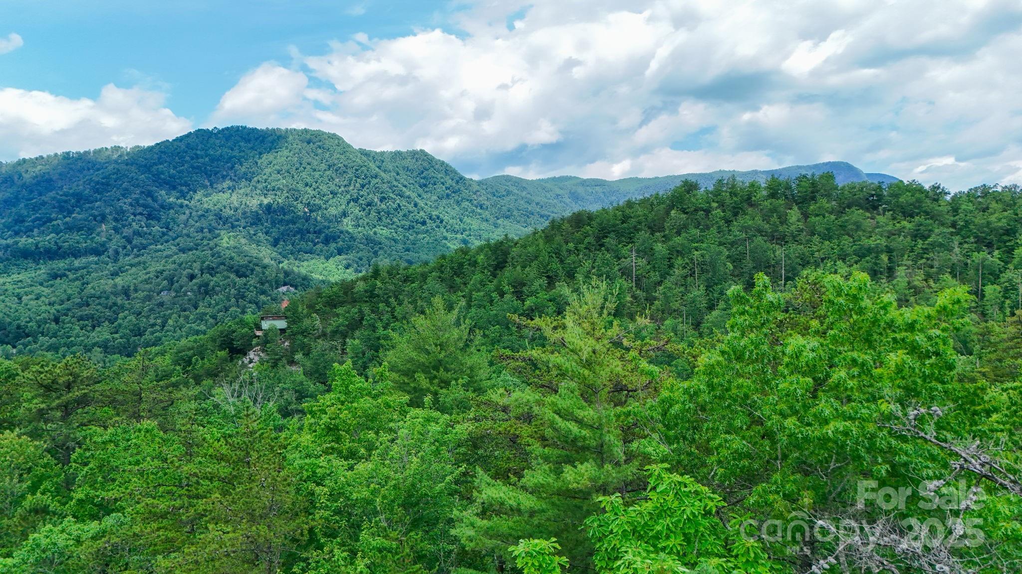 55 Chickasaw Way Marion NC 28752