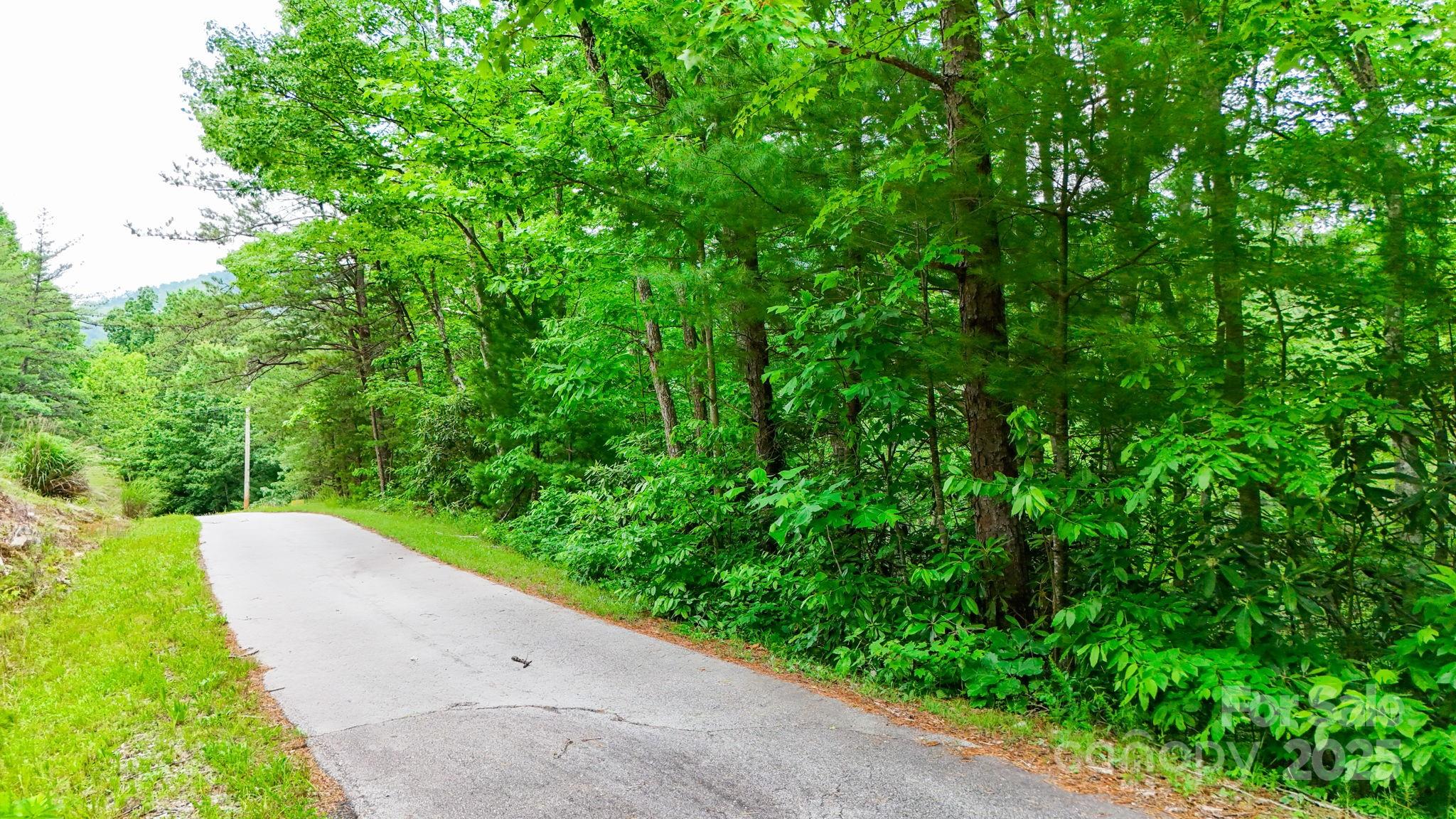 55 Chickasaw Way Marion NC 28752