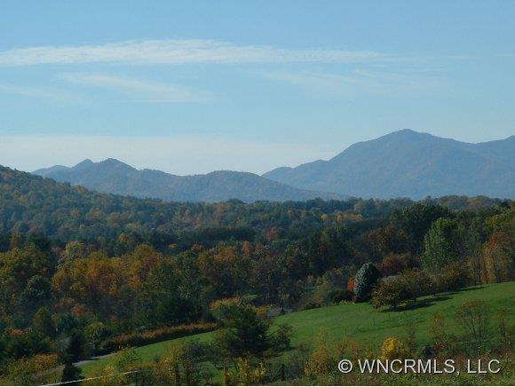 42 Penley Park Drive Weaverville NC 28787