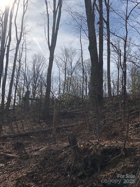 000 Marshall Ridge Road Hendersonville NC 28792