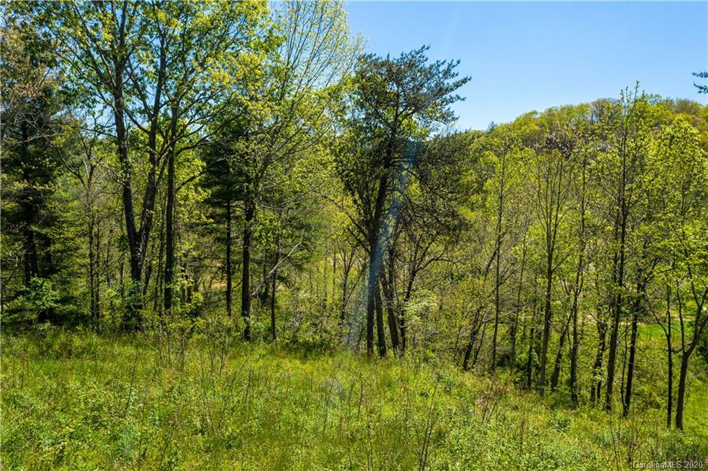 315 Broad Vista Lane Asheville NC 28804