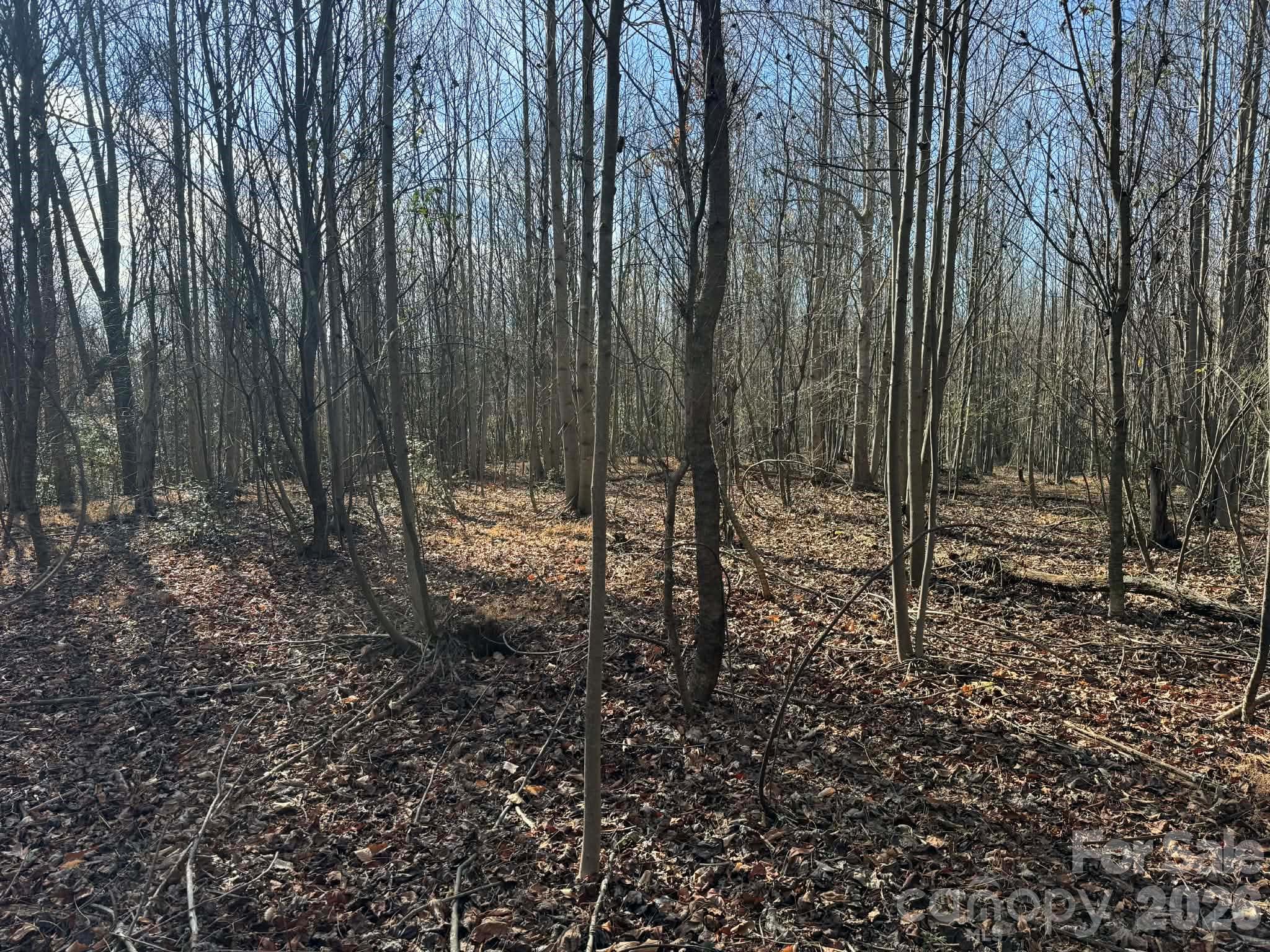 Tbd Rock Creek Church Road North Wilkesboro NC 28659