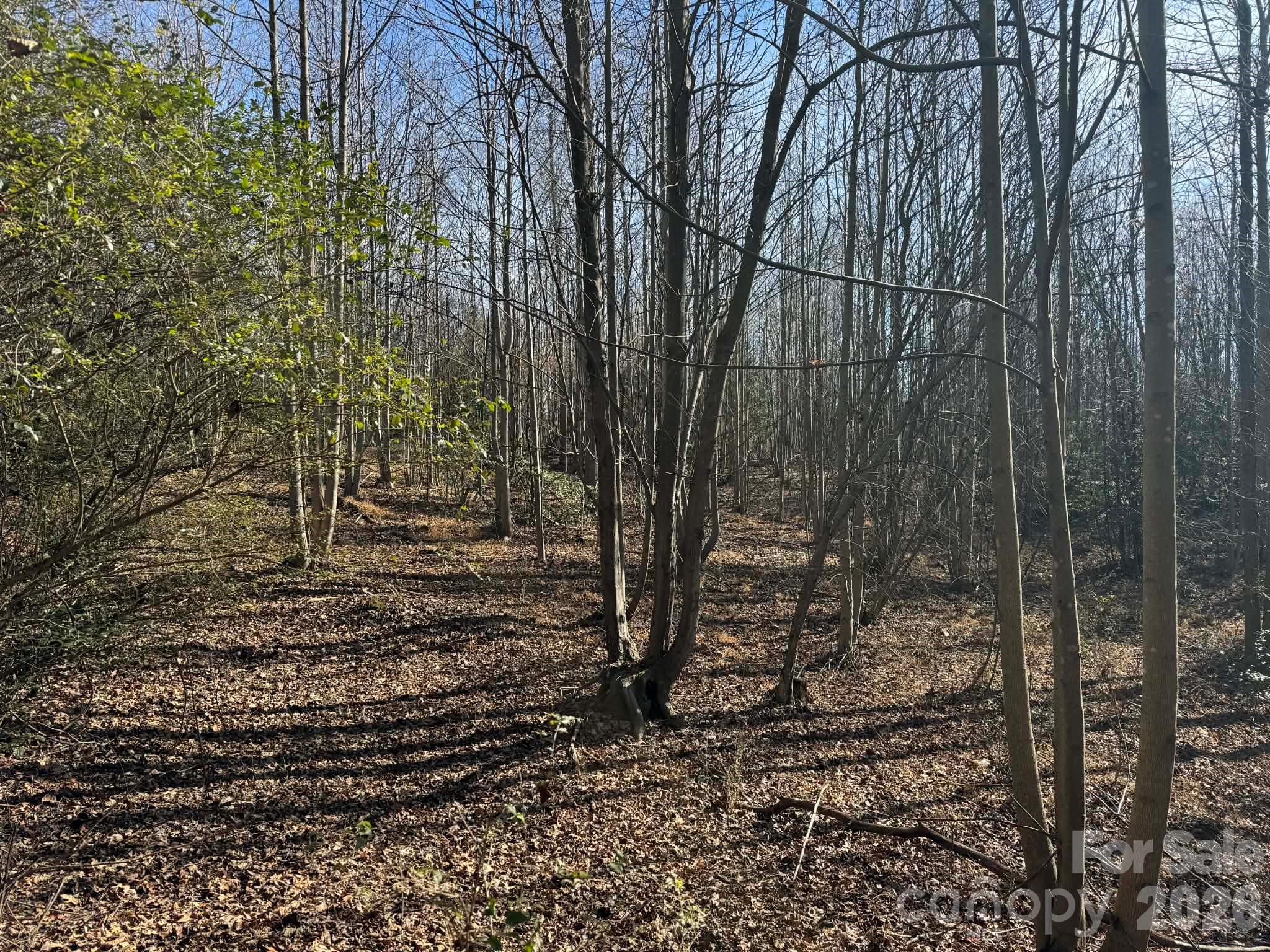 Tbd Rock Creek Church Road North Wilkesboro NC 28659