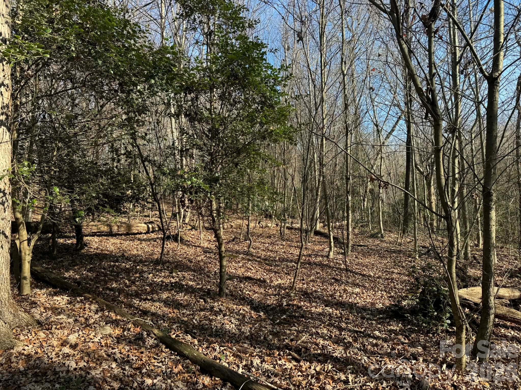 Tbd Rock Creek Church Road North Wilkesboro NC 28659