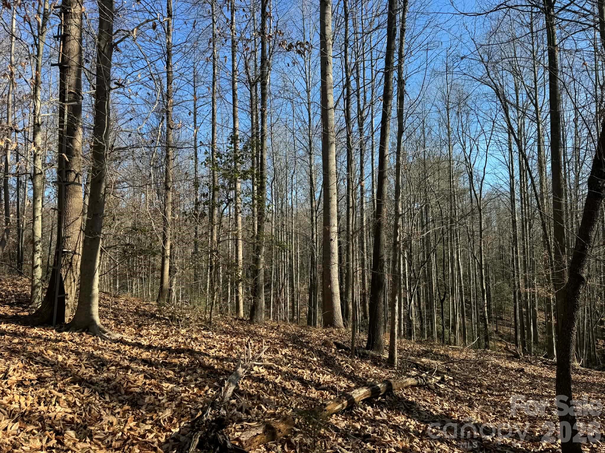 Tbd Rock Creek Church Road North Wilkesboro NC 28659