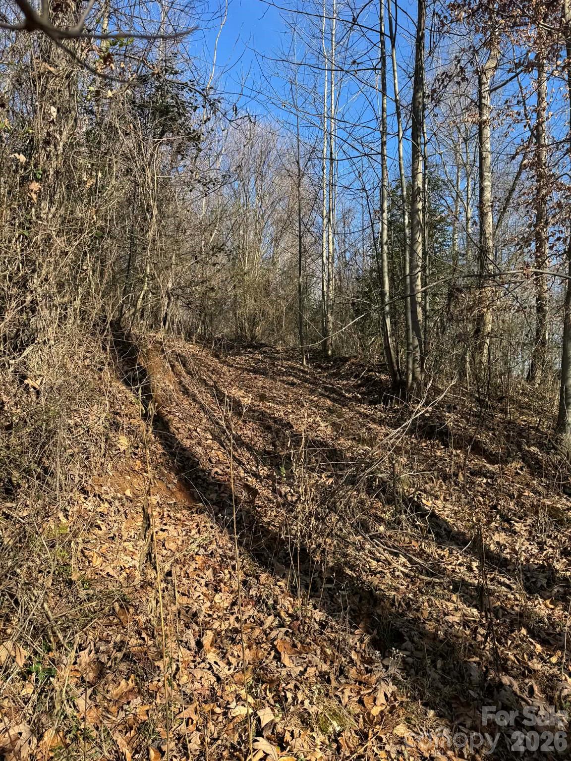 Tbd Rock Creek Church Road North Wilkesboro NC 28659