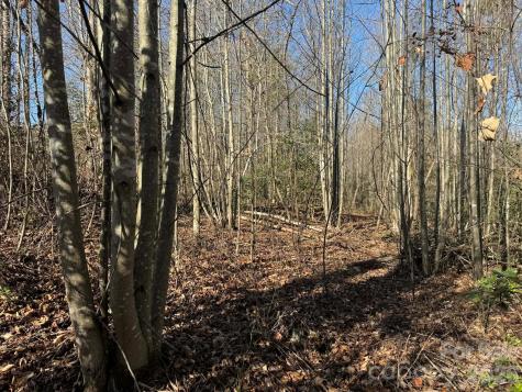 Tbd Rock Creek Church Road North Wilkesboro NC 28659
