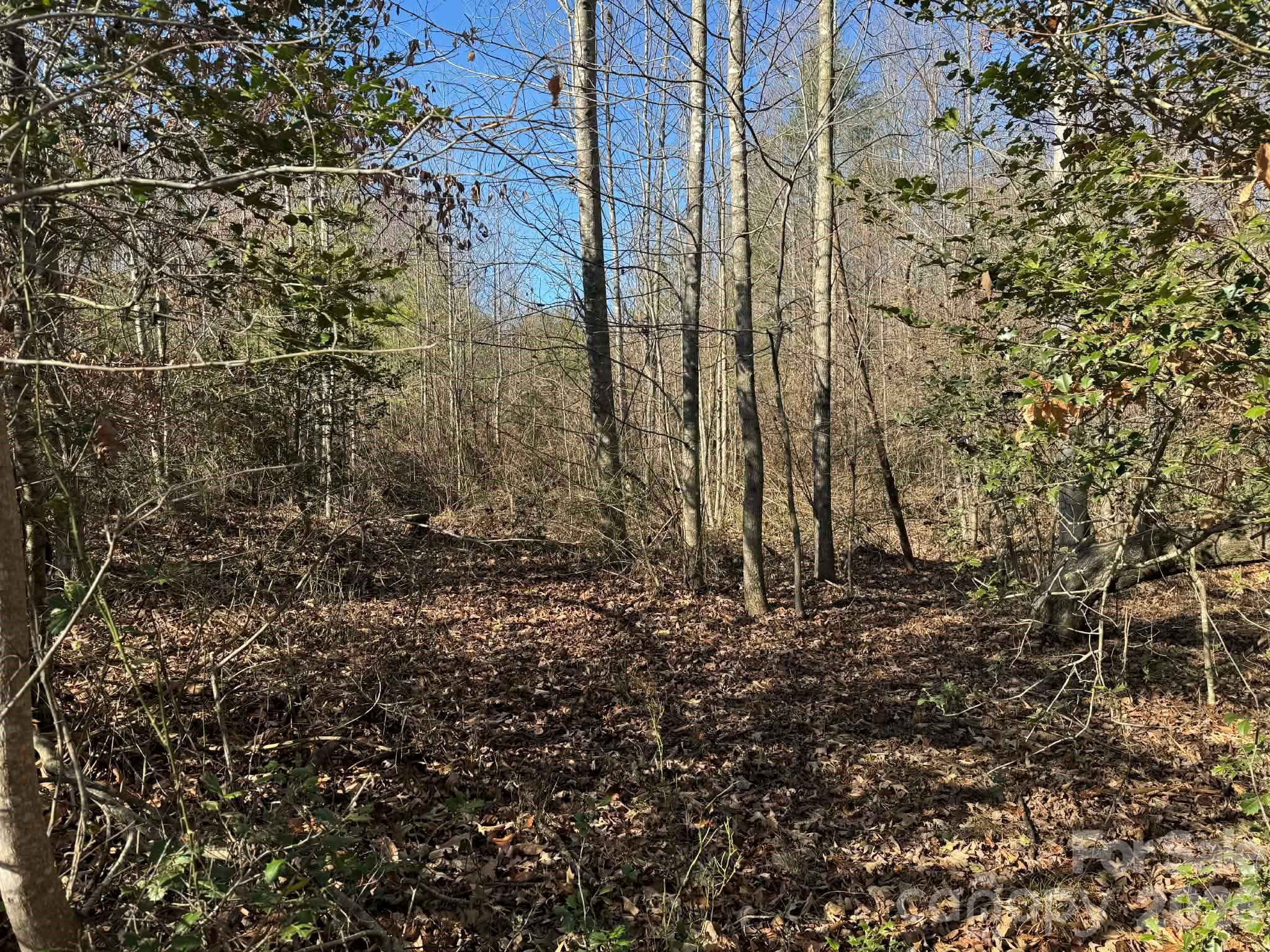 Tbd Rock Creek Church Road North Wilkesboro NC 28659