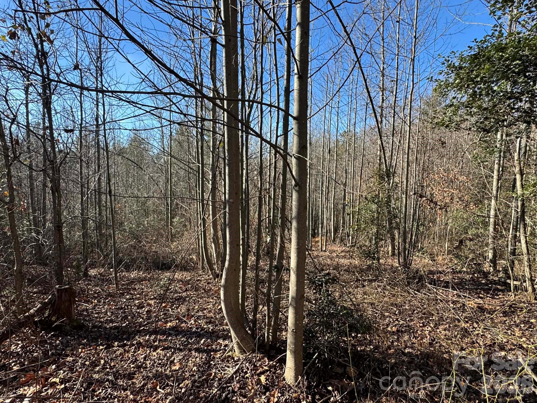 Tbd Rock Creek Church Road North Wilkesboro NC 28659
