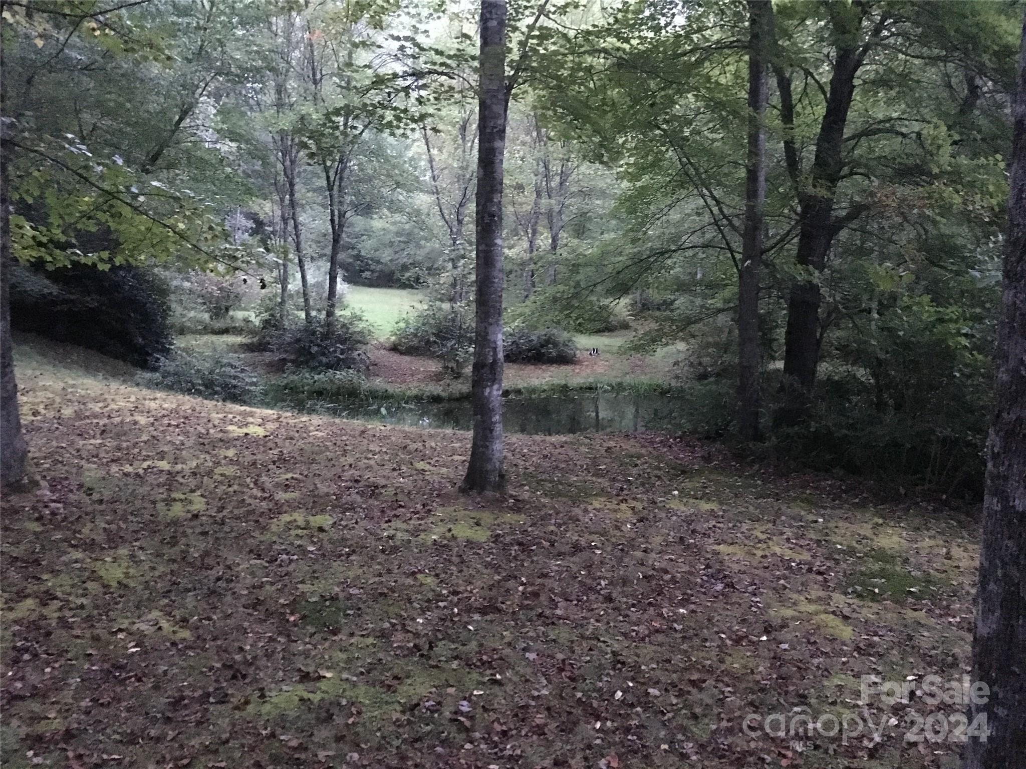 L 3 Sweetwater Ridge Road Balsam Grove NC 28708