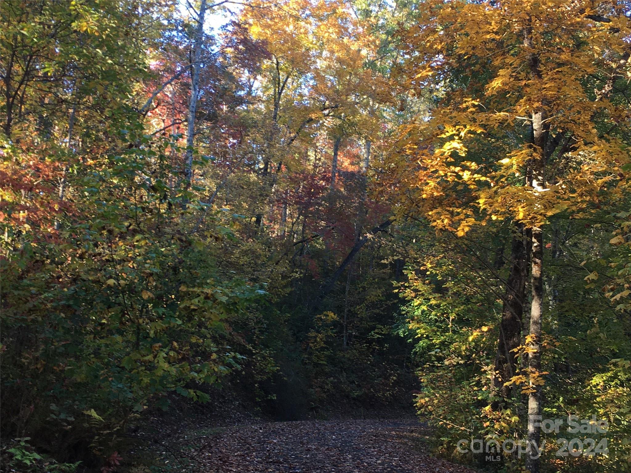 L 3 Sweetwater Ridge Road Balsam Grove NC 28708