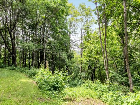 32 Sallywood Trail Waynesville NC 28785