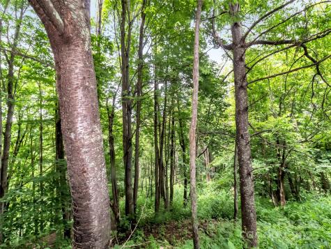 32 Sallywood Trail Waynesville NC 28785