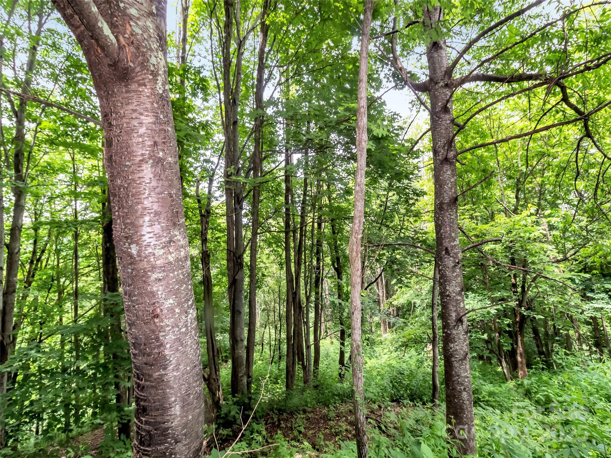 32 Sallywood Trail Waynesville NC 28785