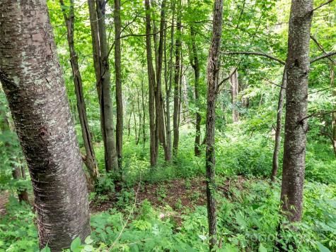 32 Sallywood Trail Waynesville NC 28785