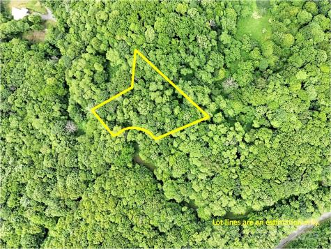 32 Sallywood Trail Waynesville NC 28785