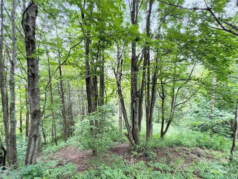 32 Sallywood Trail Waynesville NC 28785