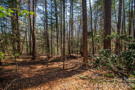000 Camptown Road Brevard NC 28712