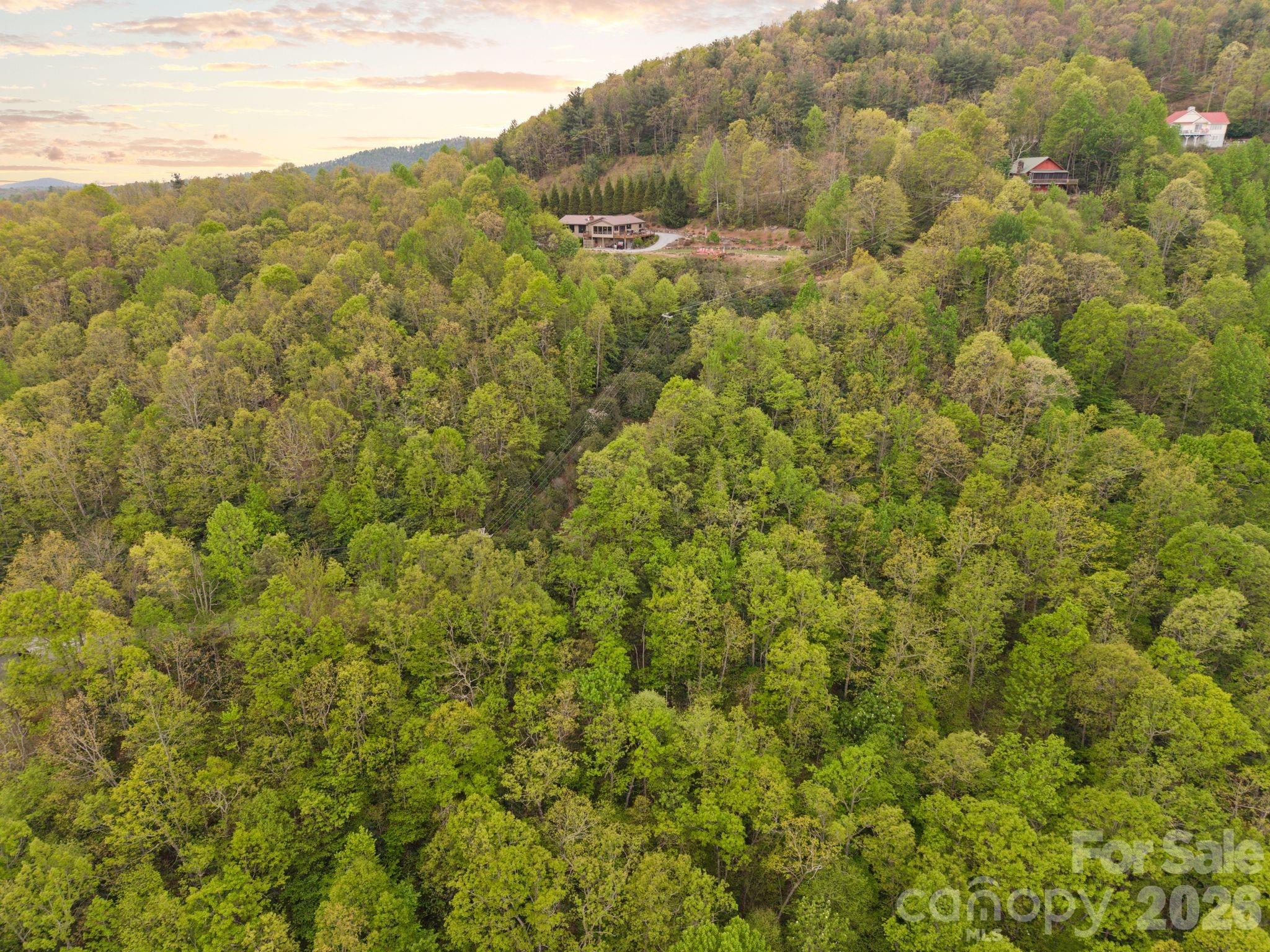 Tbd Pinnacle Mountain Road Zirconia NC 28790