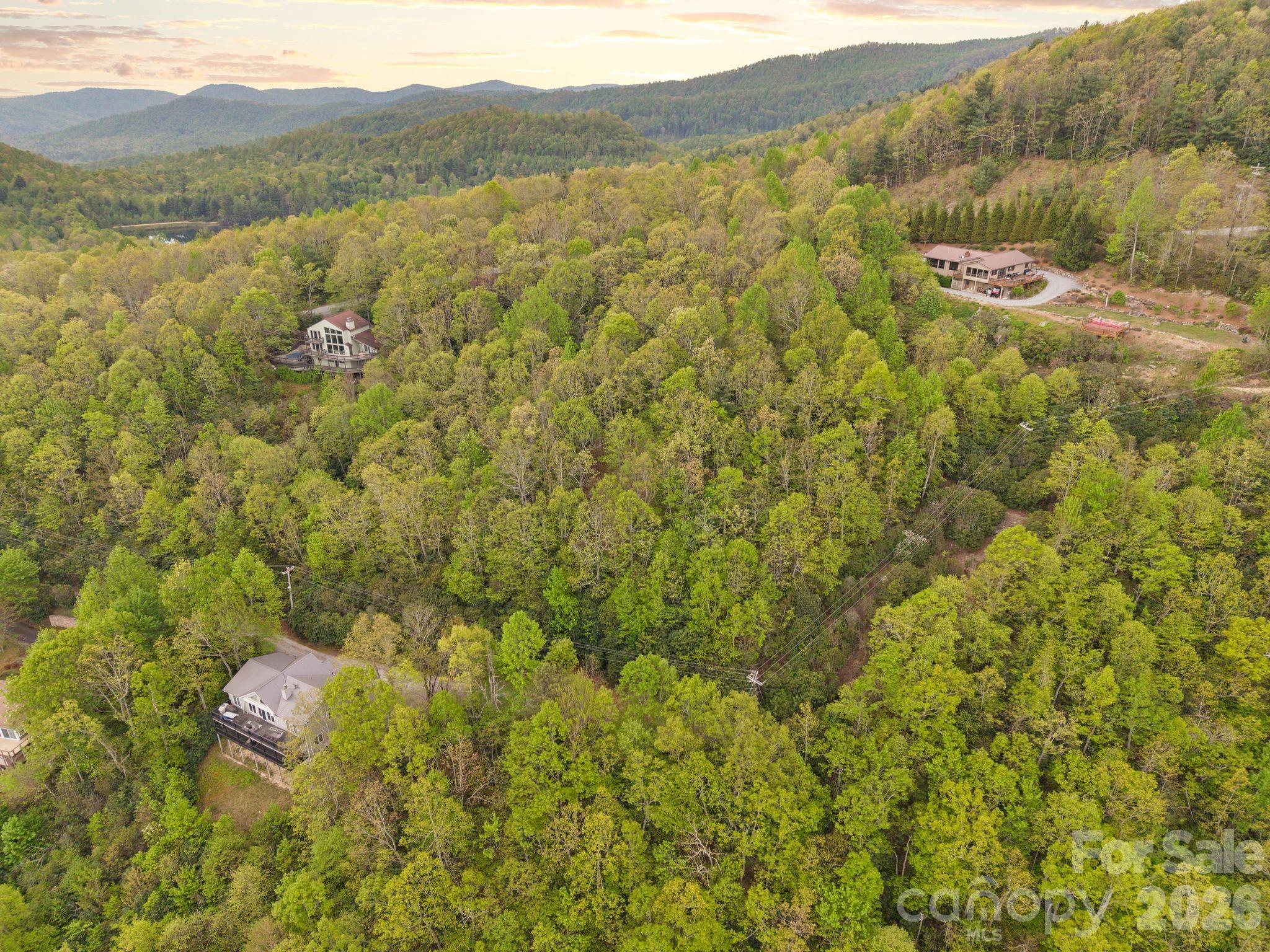 Tbd Pinnacle Mountain Road Zirconia NC 28790