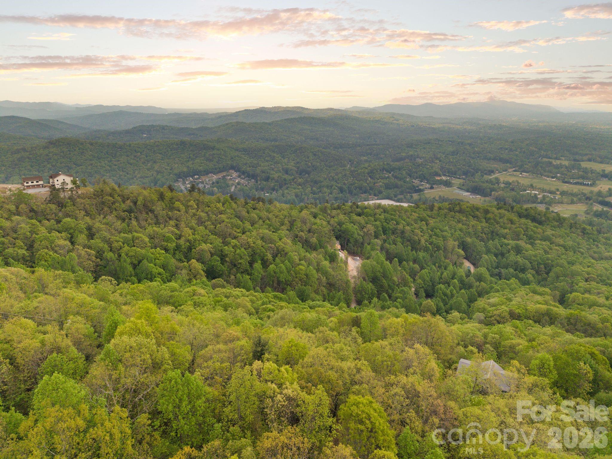 Tbd Pinnacle Mountain Road Zirconia NC 28790