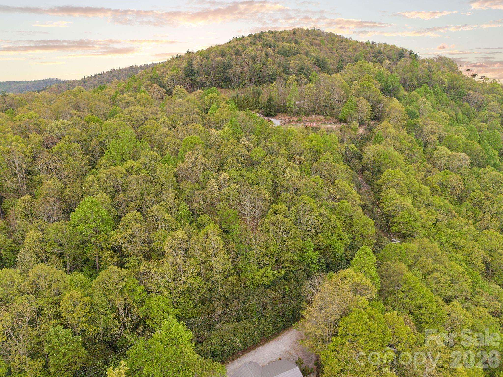 Tbd Pinnacle Mountain Road Zirconia NC 28790
