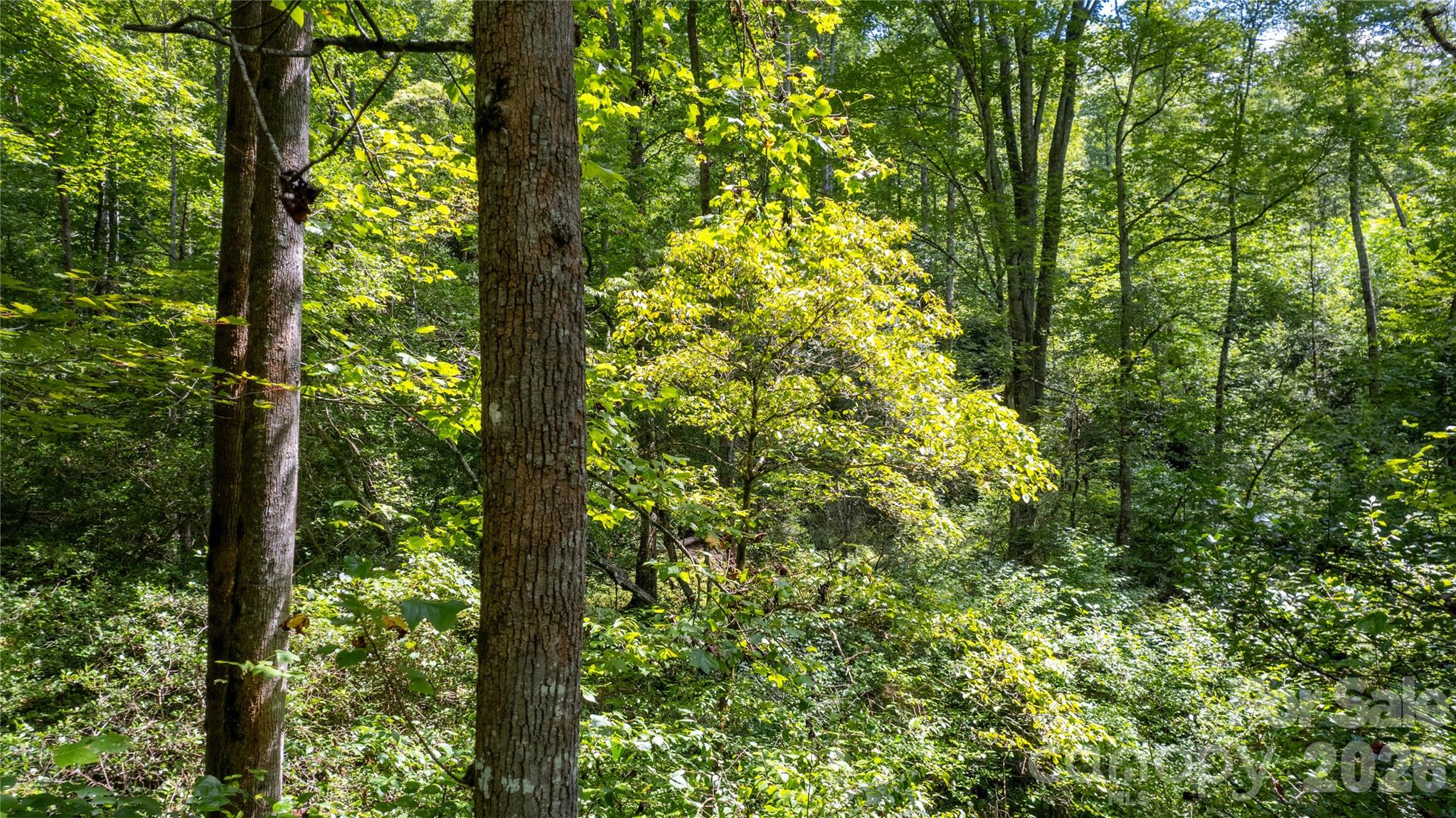 Tbd Collettsville Road Collettsville NC 28611