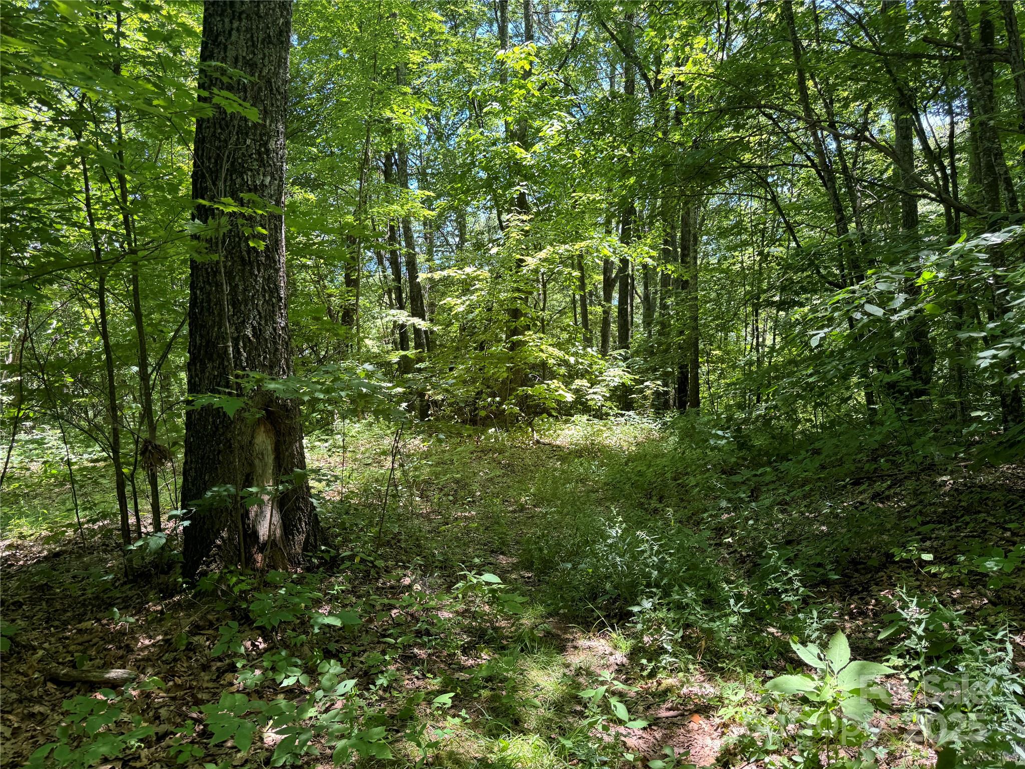 000 Larchwood Point Hazelwood NC 28786