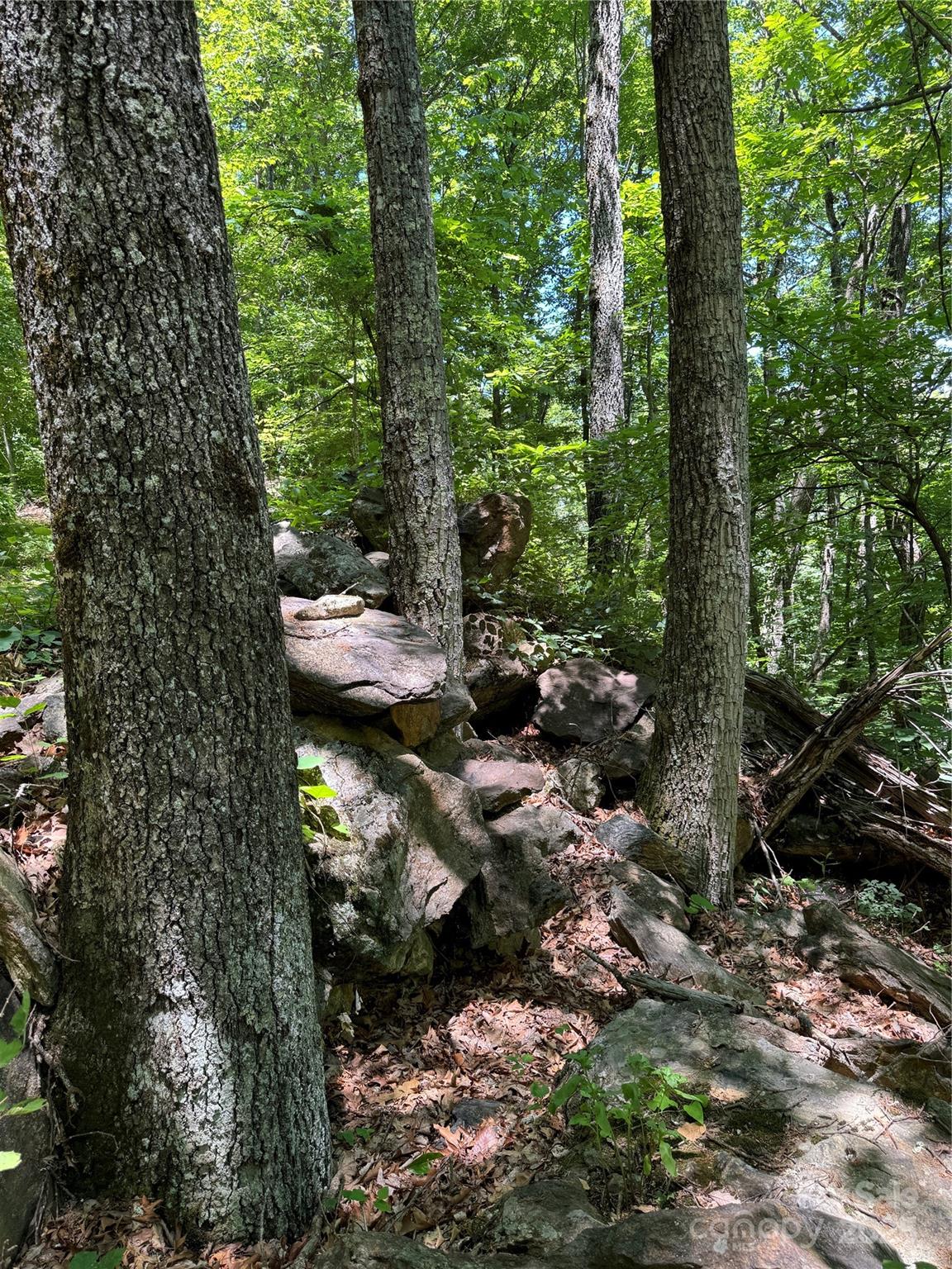 000 Larchwood Point Hazelwood NC 28786