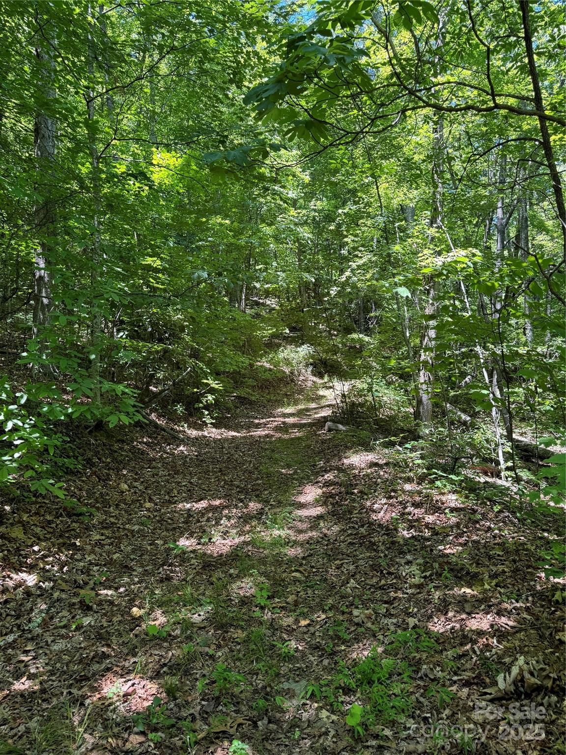 000 Larchwood Point Hazelwood NC 28786