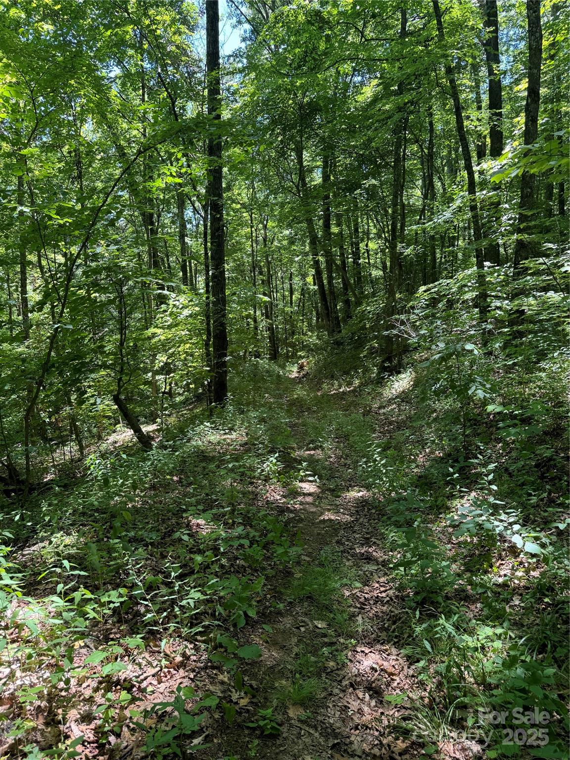 000 Larchwood Point Hazelwood NC 28786