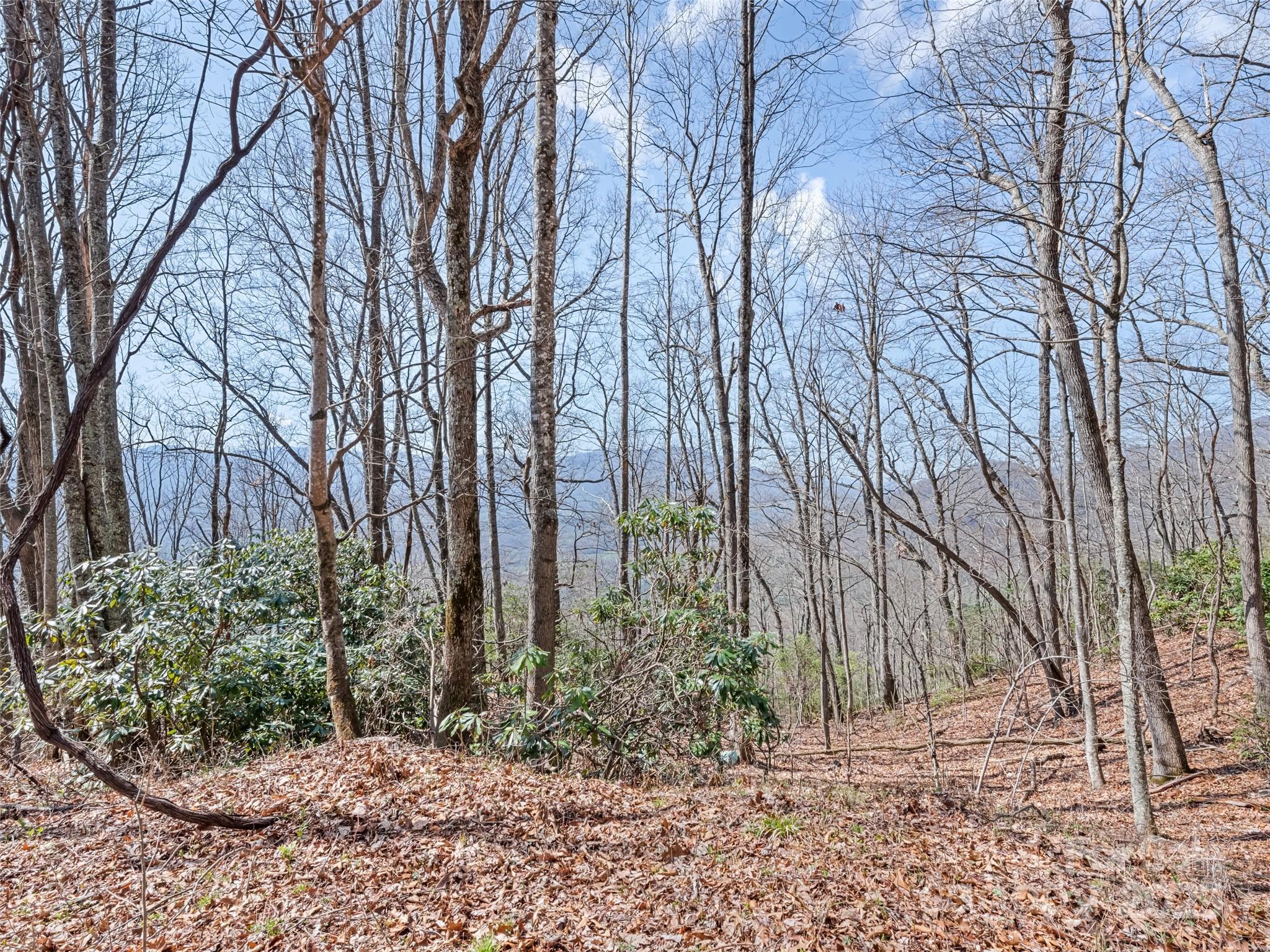 000 Larchwood Point Hazelwood NC 28786
