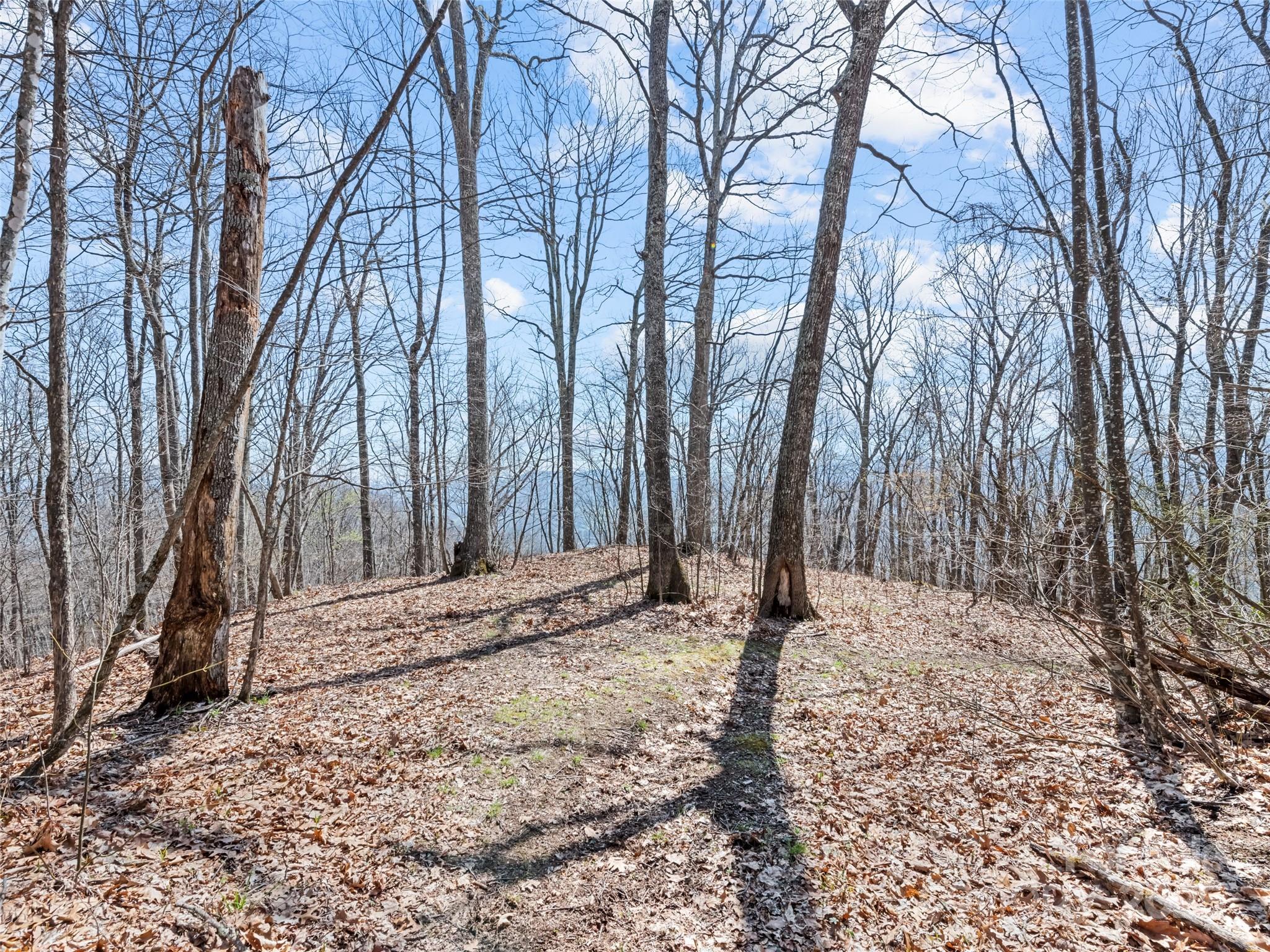 000 Larchwood Point Hazelwood NC 28786