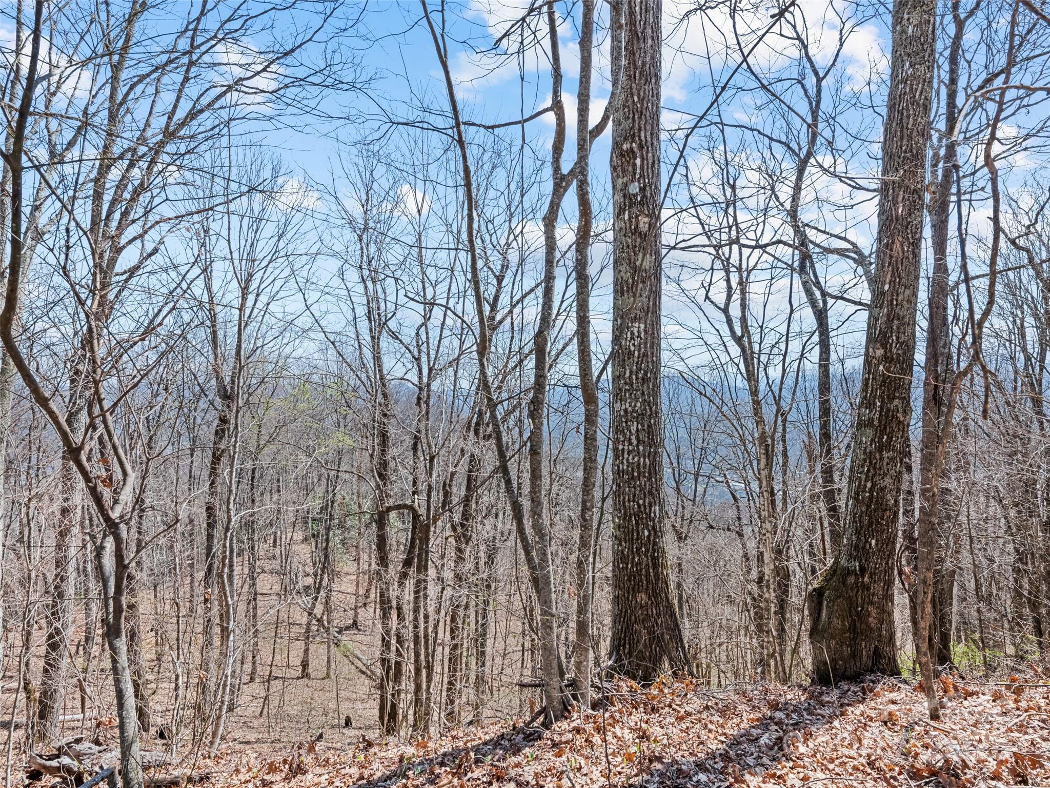 000 Larchwood Point Hazelwood NC 28786