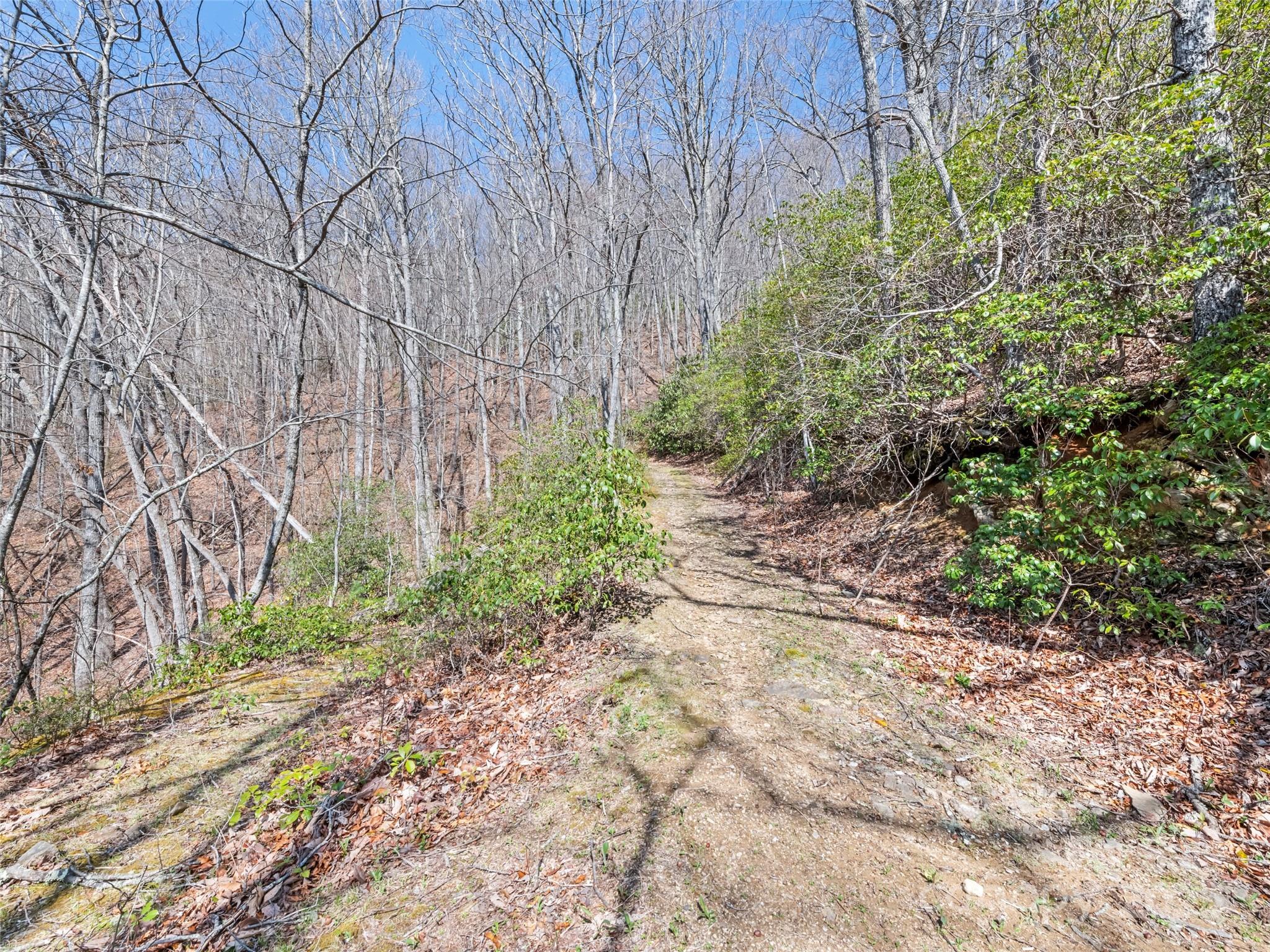 000 Larchwood Point Hazelwood NC 28786