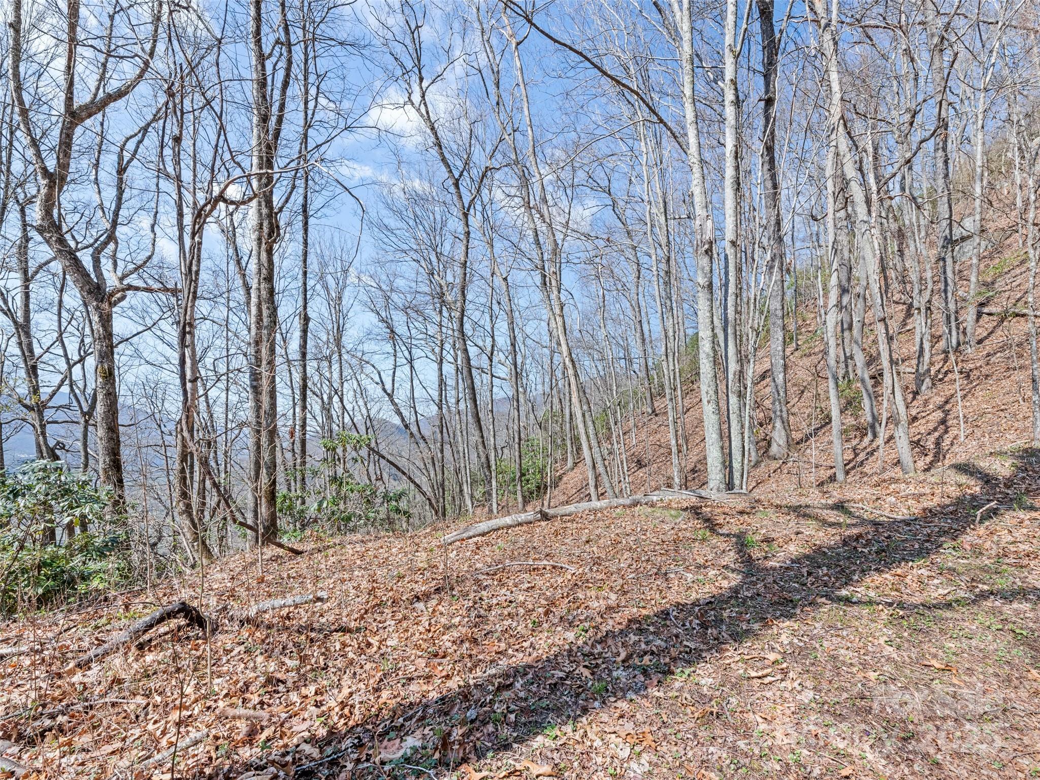 000 Larchwood Point Hazelwood NC 28786