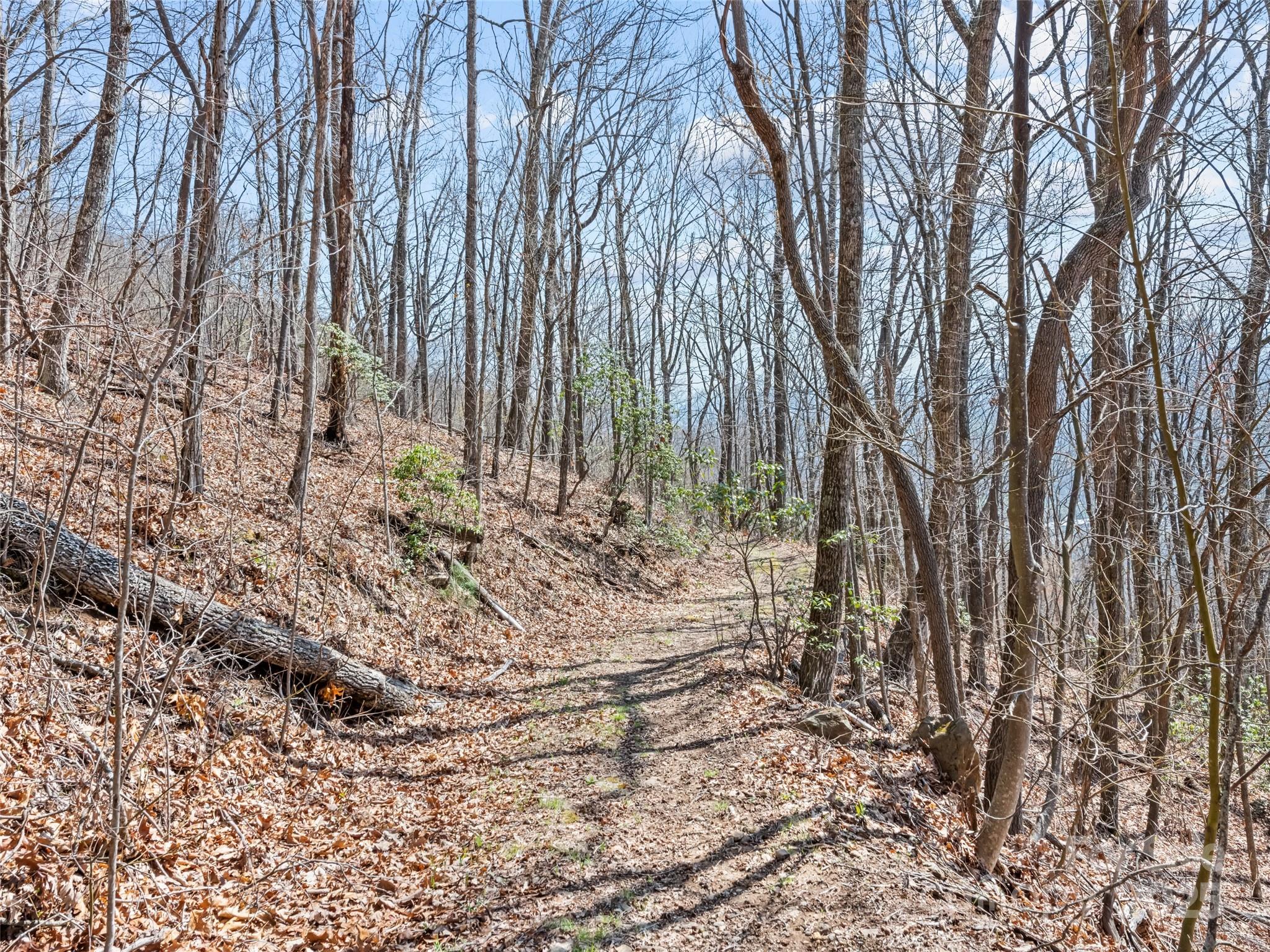 000 Larchwood Point Hazelwood NC 28786