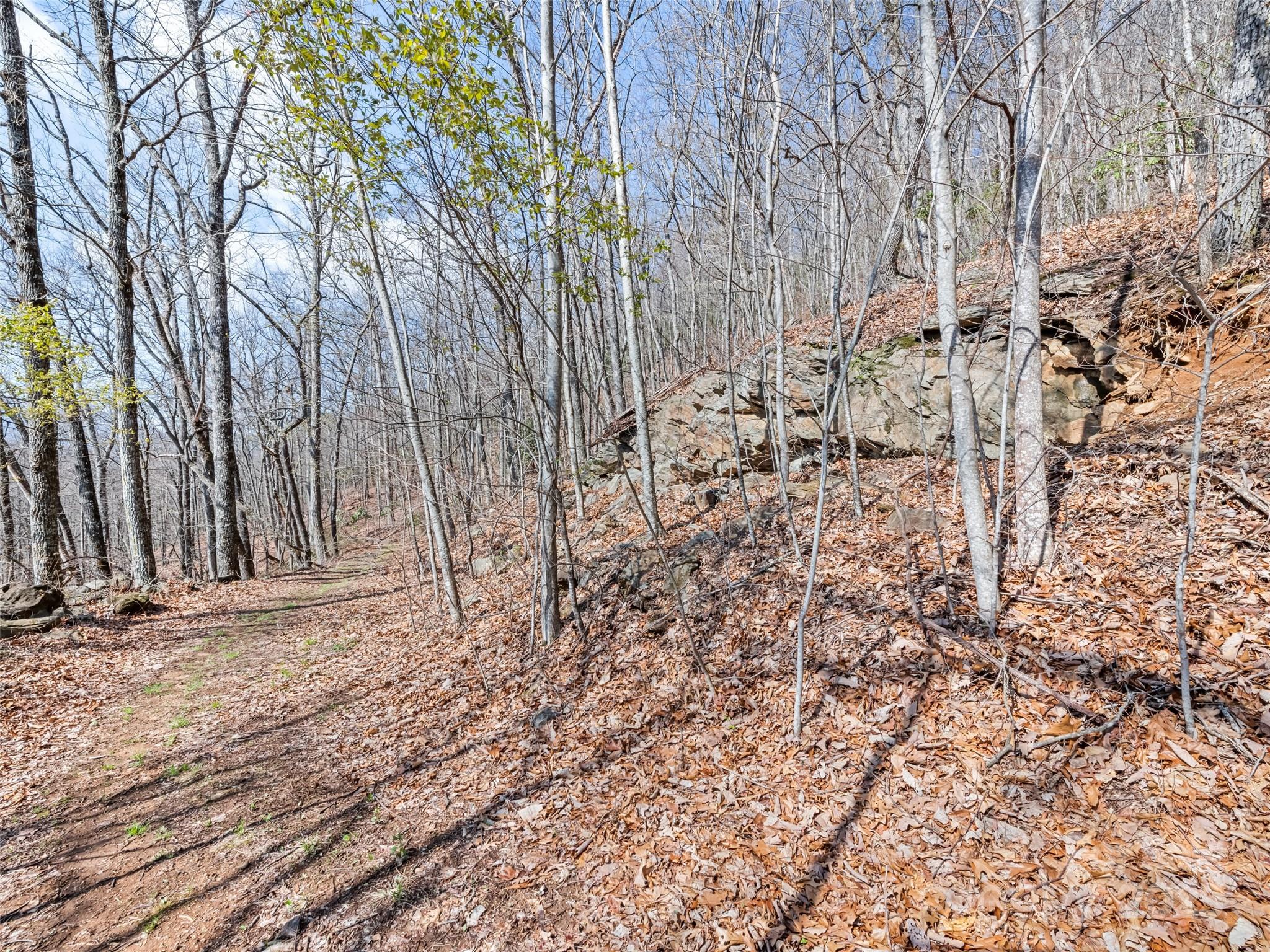 000 Larchwood Point Hazelwood NC 28786