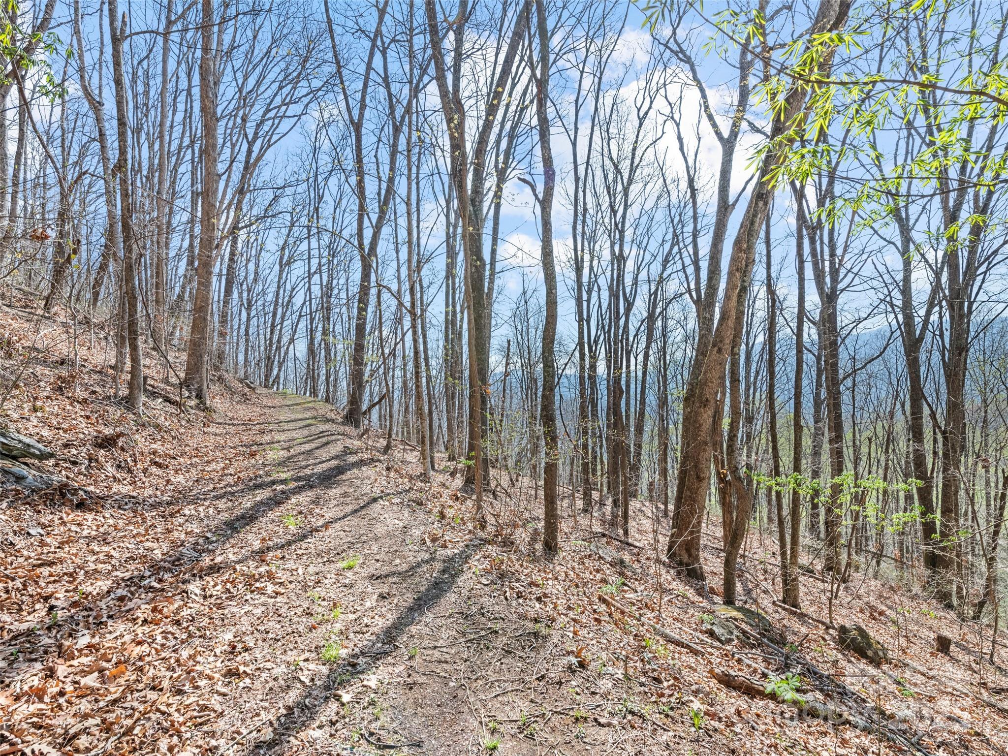 000 Larchwood Point Hazelwood NC 28786