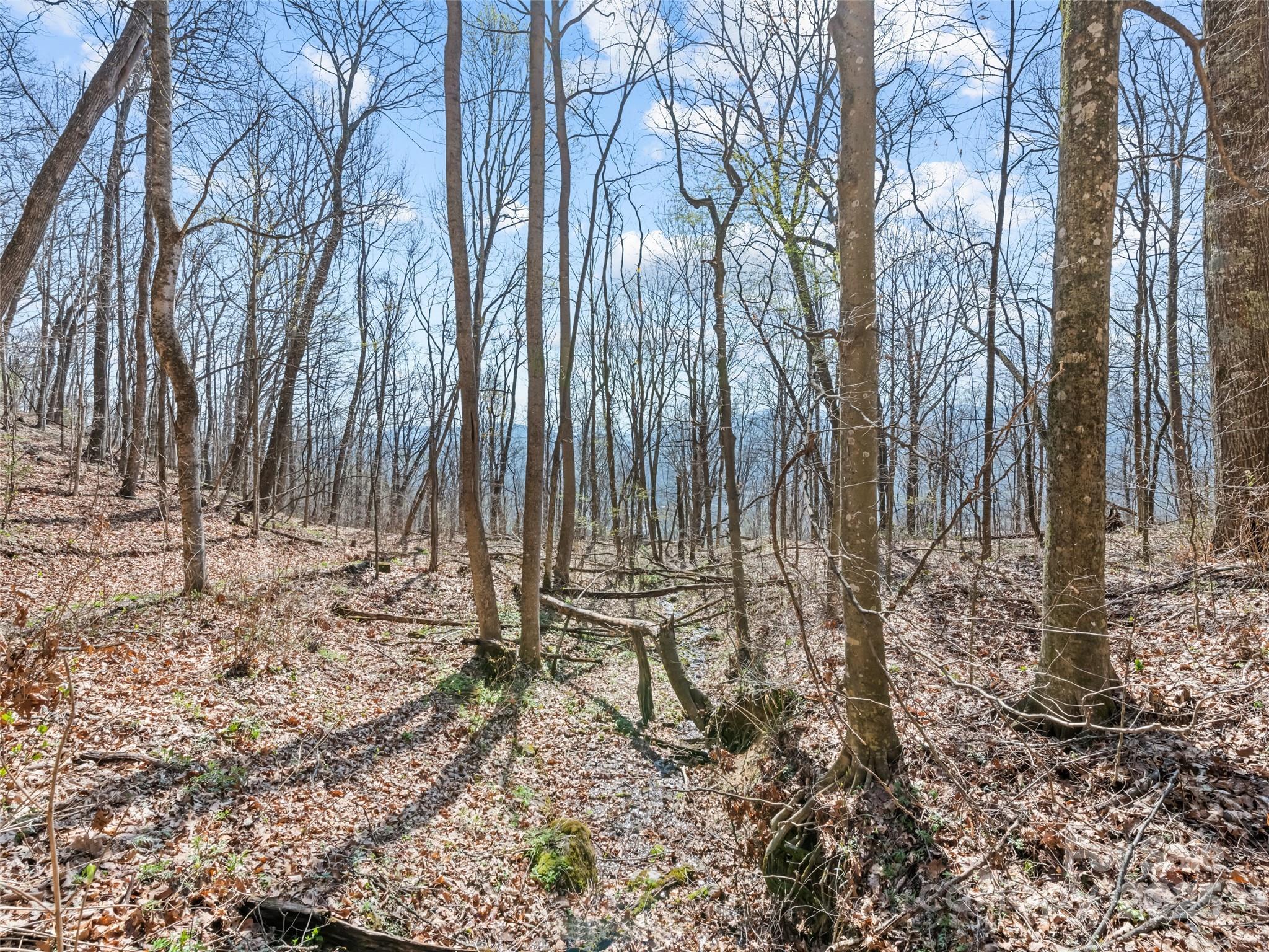 000 Larchwood Point Hazelwood NC 28786