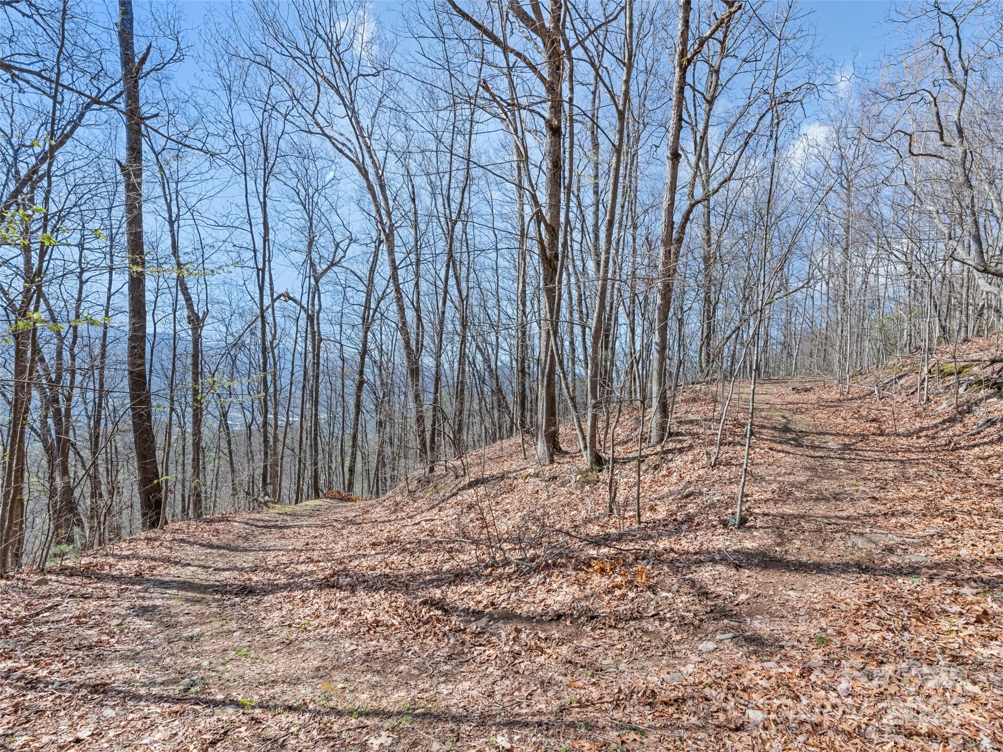 000 Larchwood Point Hazelwood NC 28786